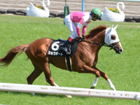 あずさ賞（500万）　キャンター