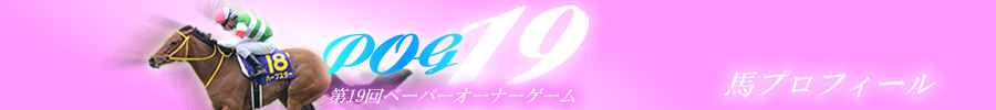 馬プロフィール