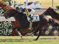 京都5R　未勝利　リベレーター