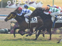 京都5R　未勝利　アンバーグリスキー