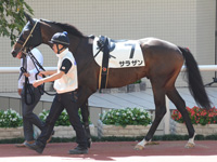 新馬戦　パドック