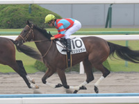 新馬戦　本馬場入場