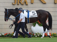 未勝利戦　パドック