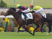 未勝利戦　ゴール前