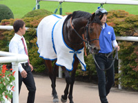 未勝利戦　口取り