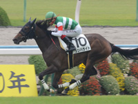 新馬戦（牝）　ゴール前