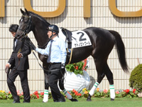 新馬戦　パドック