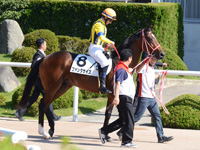 未勝利戦　本馬場入場