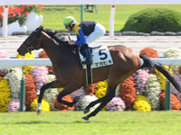 新馬戦　ゴール前