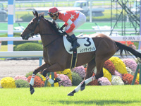 未勝利戦　キャンター