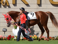 新馬戦　パドック