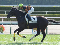 未勝利戦　キャンター