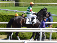 本馬場入場