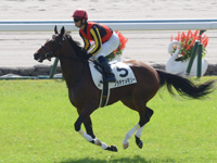 新馬戦（牝）　キャンター