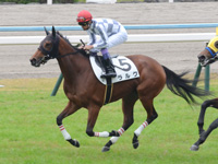 新馬戦（牝）　キャンター
