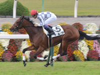 新馬戦（牝）　ゴール前