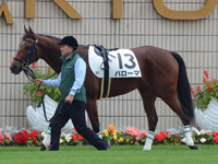 新馬戦（牝）　パドック