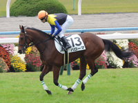 新馬戦（牝）　キャンター