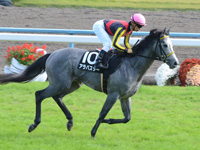 黄菊賞（500万）　キャンター