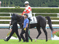 未勝利戦　本馬場入場