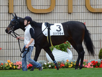 未勝利戦　パドック