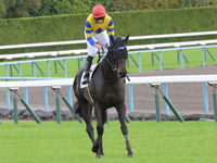 未勝利戦　凱旋