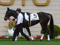 未勝利戦　パドック
