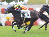 未勝利戦　ゴール前