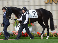 新馬戦　パドック