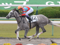 未勝利戦　ゴール前