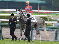 未勝利戦　凱旋