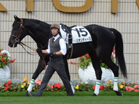 新馬戦　パドック