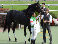 新馬戦　口取り