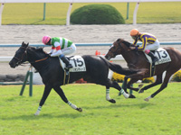 新馬戦　ゴール前（内2着）