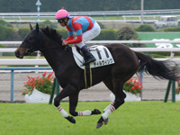 未勝利戦　キャンター