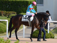 未勝利戦　本馬場入場