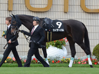 白菊賞（500万）　パドック
