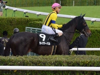 白菊賞（500万）　本馬場入場