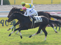 未勝利戦　ゴール前