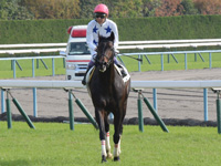 未勝利戦　凱旋