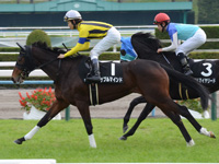 白菊賞（500万）　キャンター