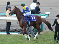 第67回 朝日杯フューチュリティＳ（ＧＩ）　本馬場入場