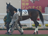 新馬戦　パドック