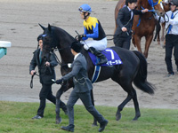 第67回 朝日杯フューチュリティＳ（ＧＩ）　本馬場入場