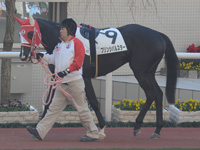 500万平場戦　パドック