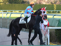 500万平場戦　本馬場入場