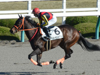 未勝利戦　キャンター