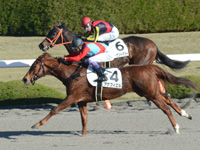 未勝利戦　ゴール前（内2着）