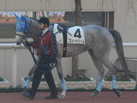 500万平場戦　パドック