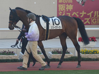 新馬戦　パドック